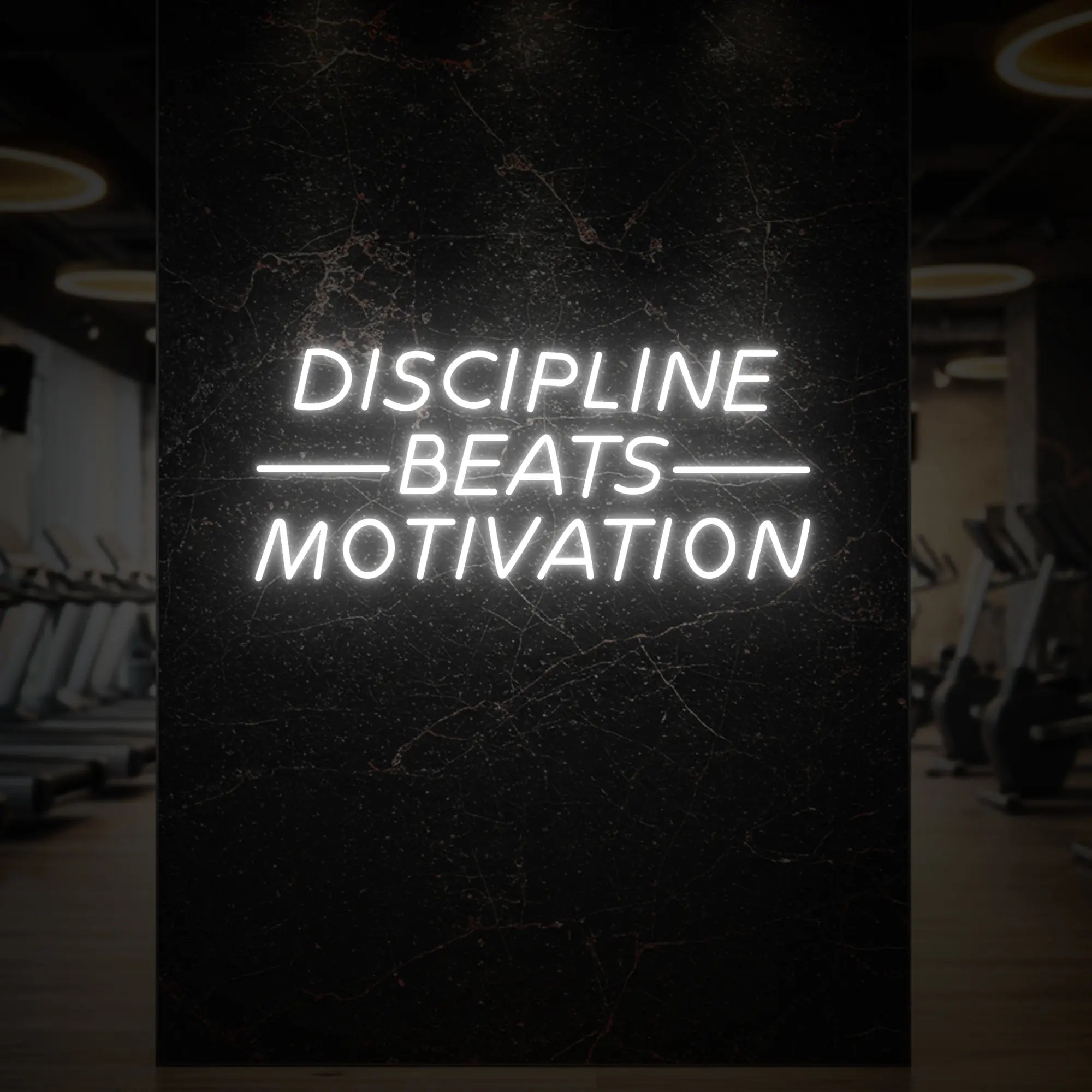 'Discipline Beats Motivation' neon sign glowing in cool white against a styled interior wall.