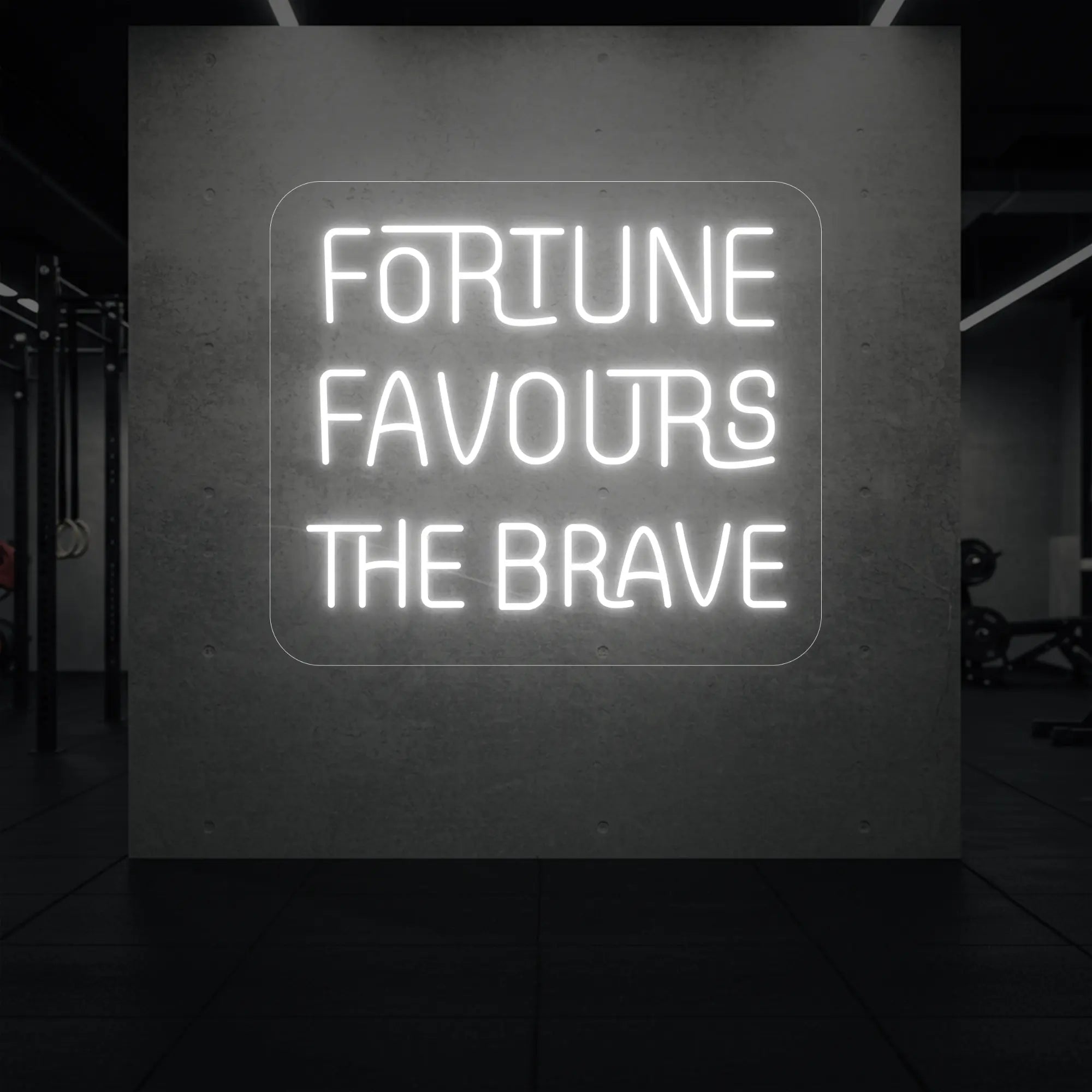 'Fortune Favours the Brave' neon sign glowing in cool white against a styled interior wall.