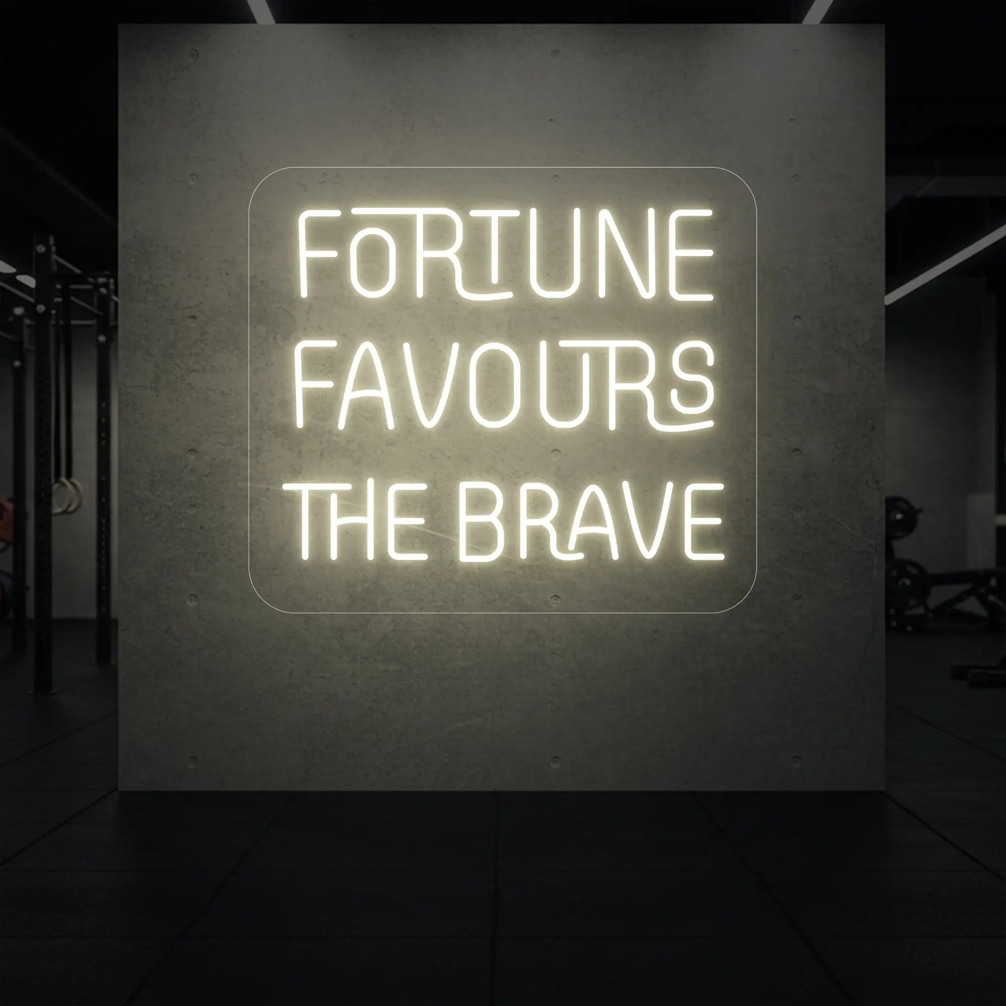 'Fortune Favours the Brave' neon sign glowing in warm white against a styled interior wall.