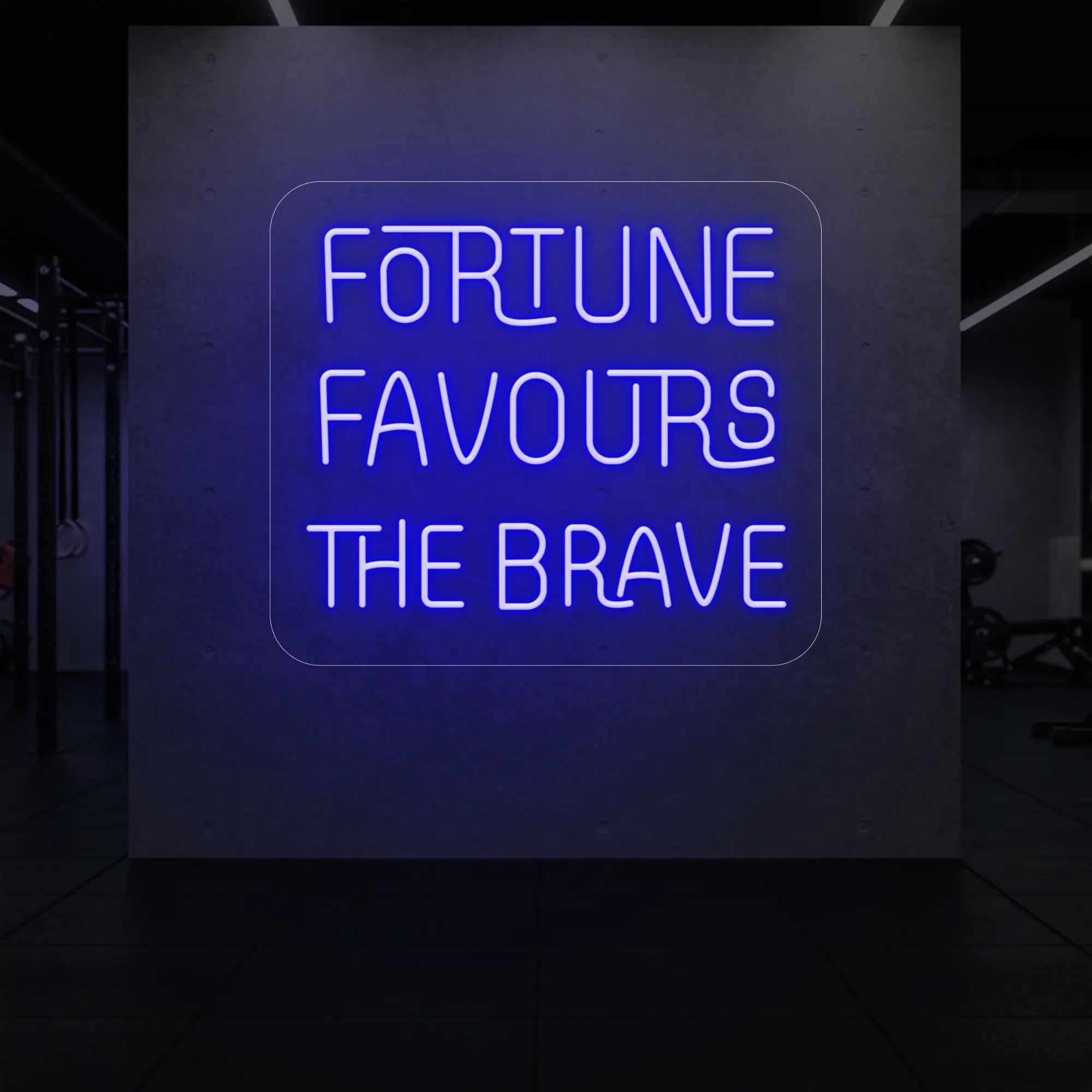 'Fortune Favours the Brave' neon sign glowing in deep blue against a styled interior wall.