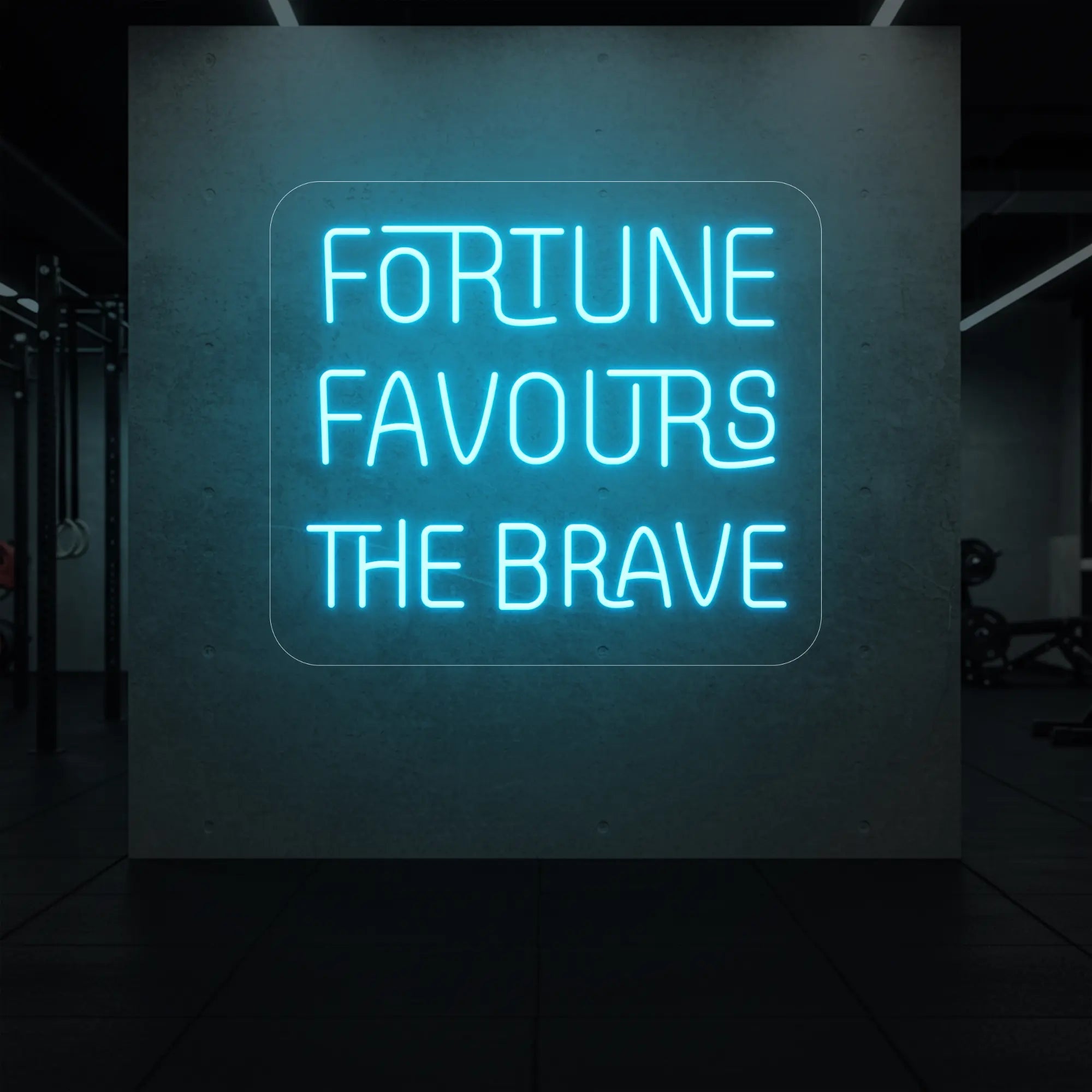 'Fortune Favours the Brave' neon sign glowing in ice blue against a styled interior wall.