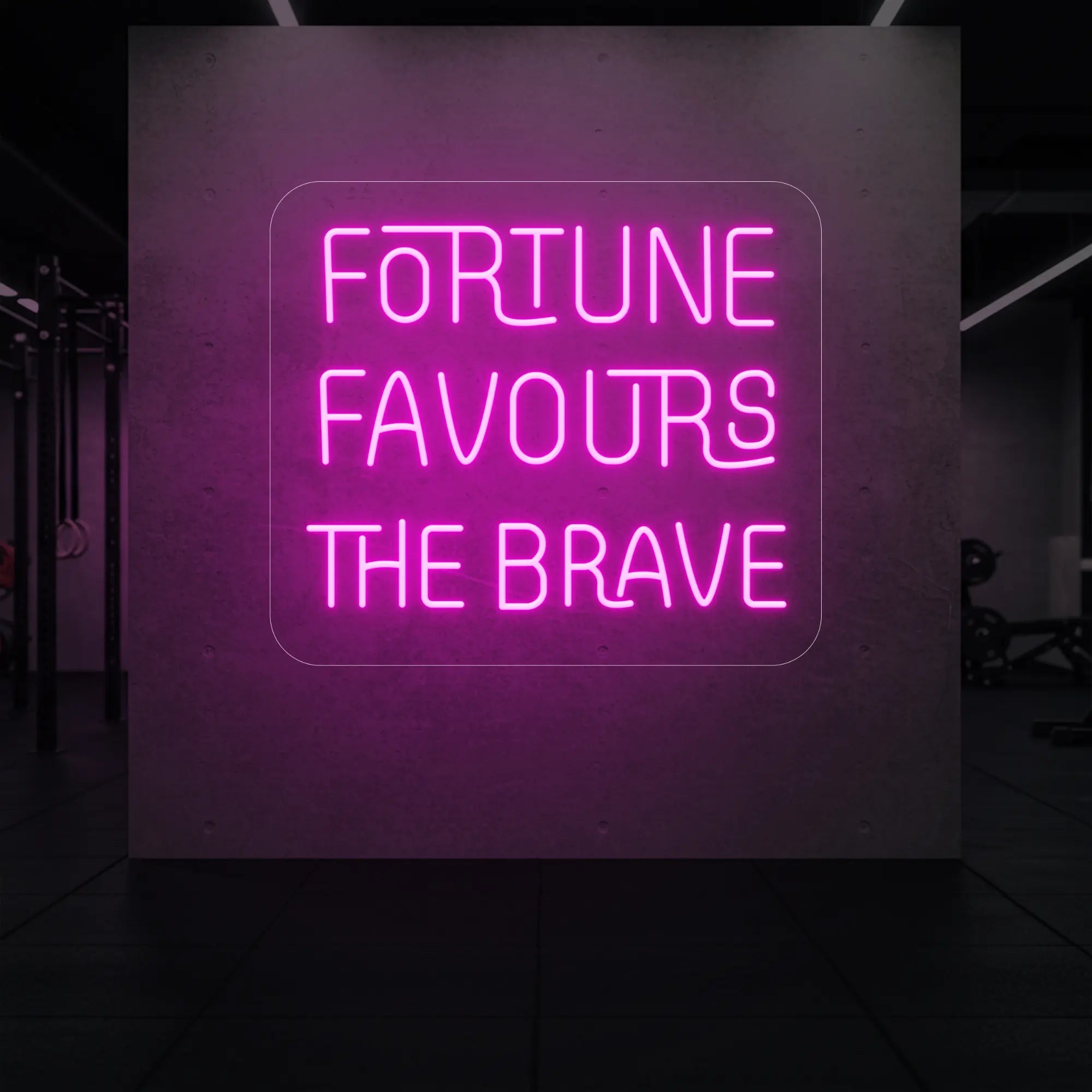 'Fortune Favours the Brave' neon sign glowing in light pink against a styled interior wall.