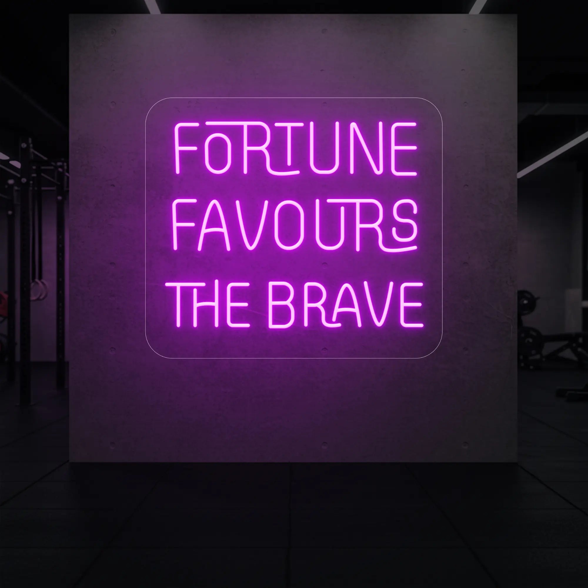 'Fortune Favours the Brave' neon sign glowing in deep pink against a styled interior wall.