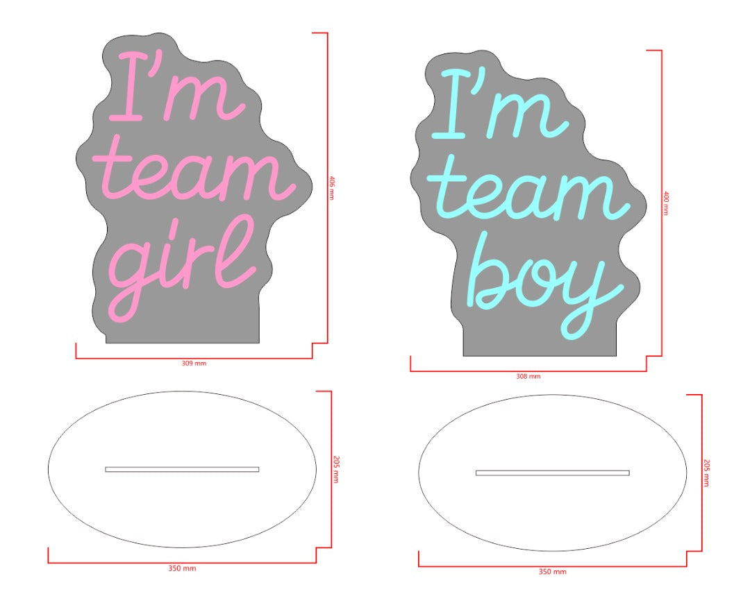 Gender Team Custom Neon Sign (Acrylic Stand)