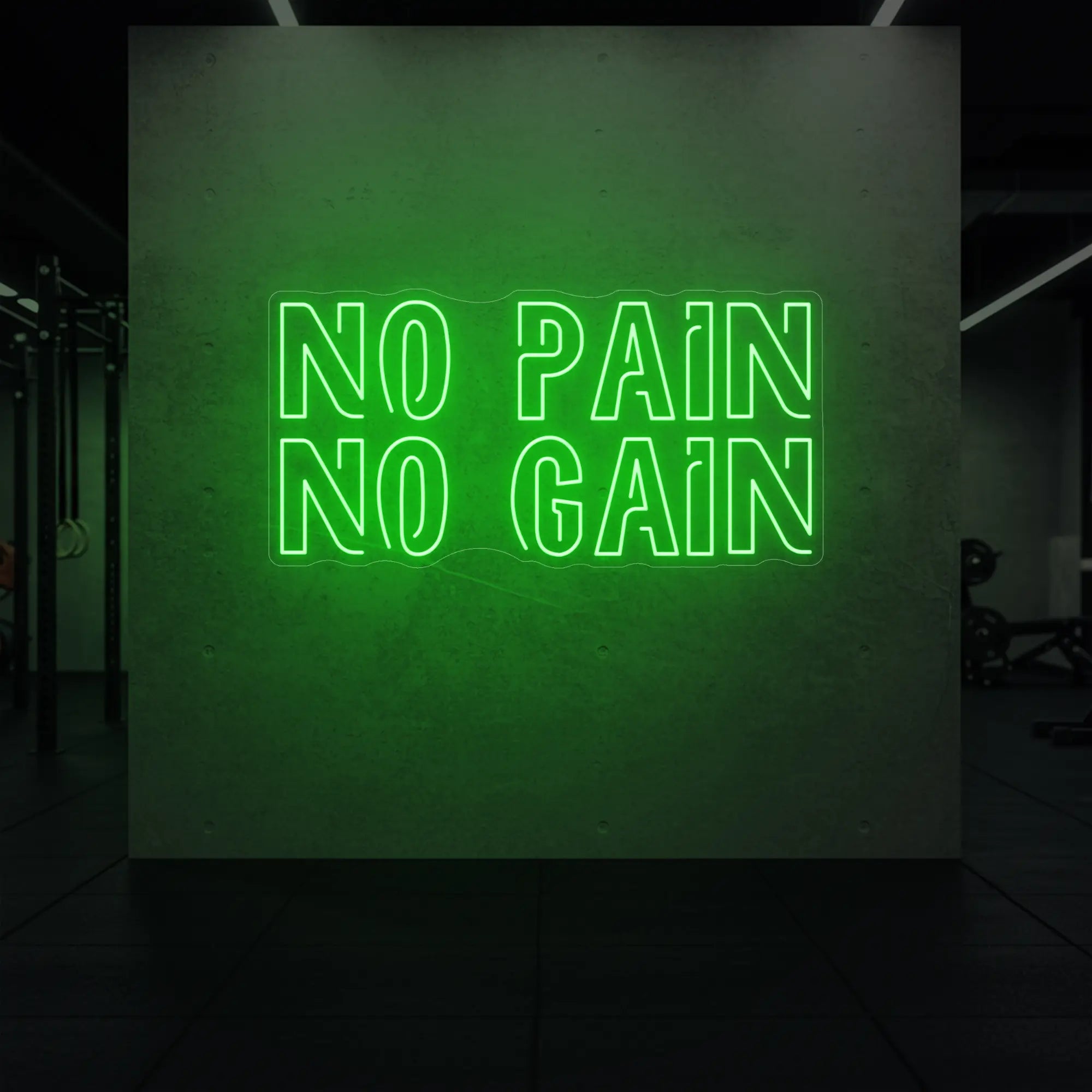 'NO PAIN NO GAIN' neon sign glowing in green against a styled interior wall.