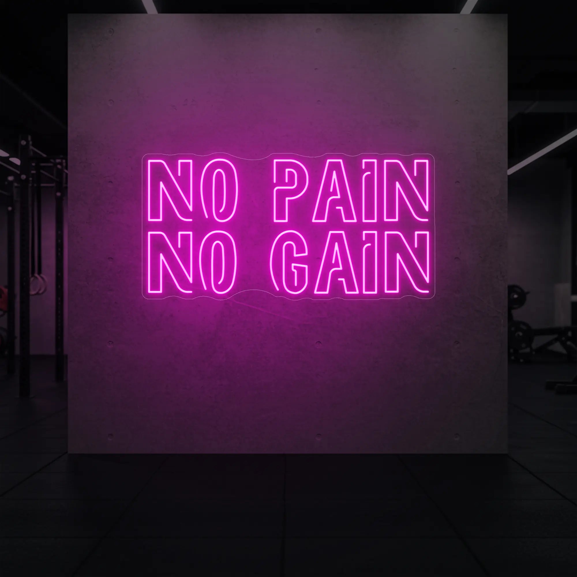 'NO PAIN NO GAIN' neon sign glowing in light pink against a styled interior wall.
