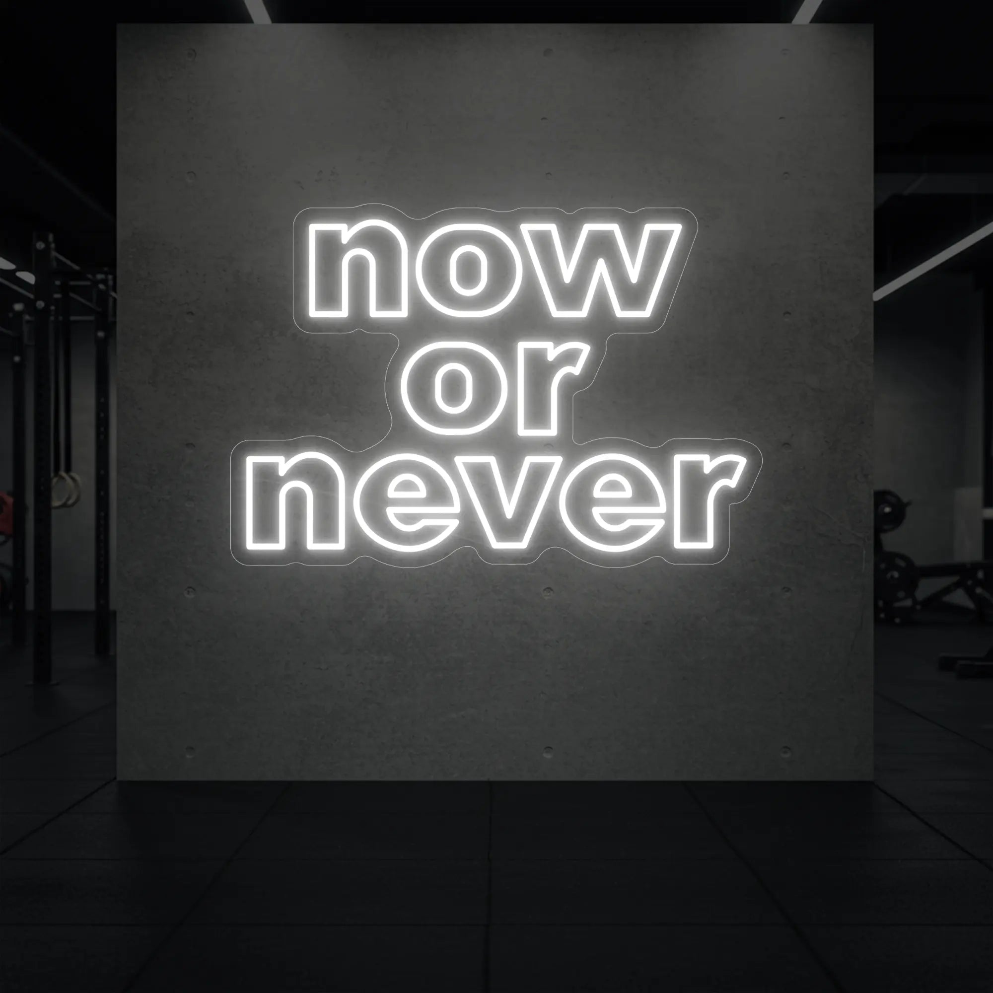 'Now or Never' neon sign glowing in cool white against a styled interior wall.
