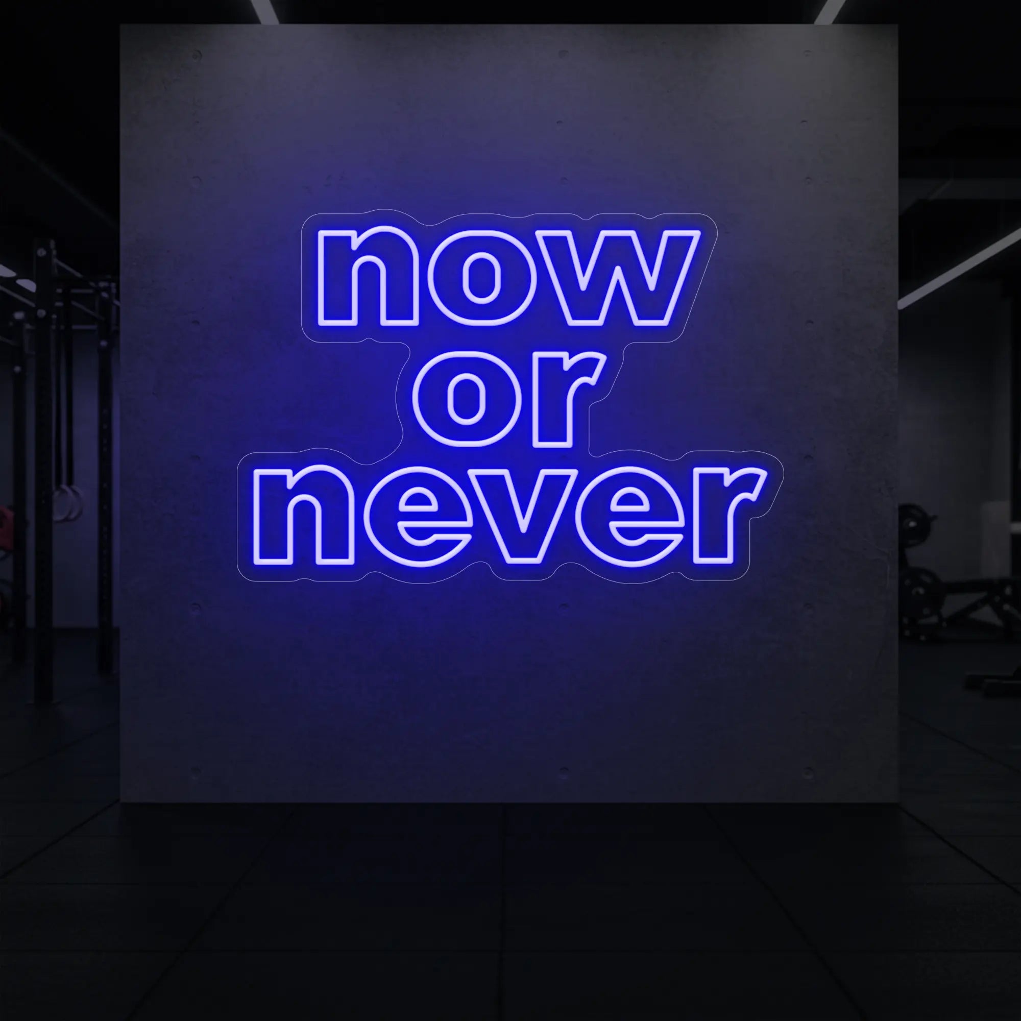 'Now or Never' neon sign glowing in deep blue against a styled interior wall.