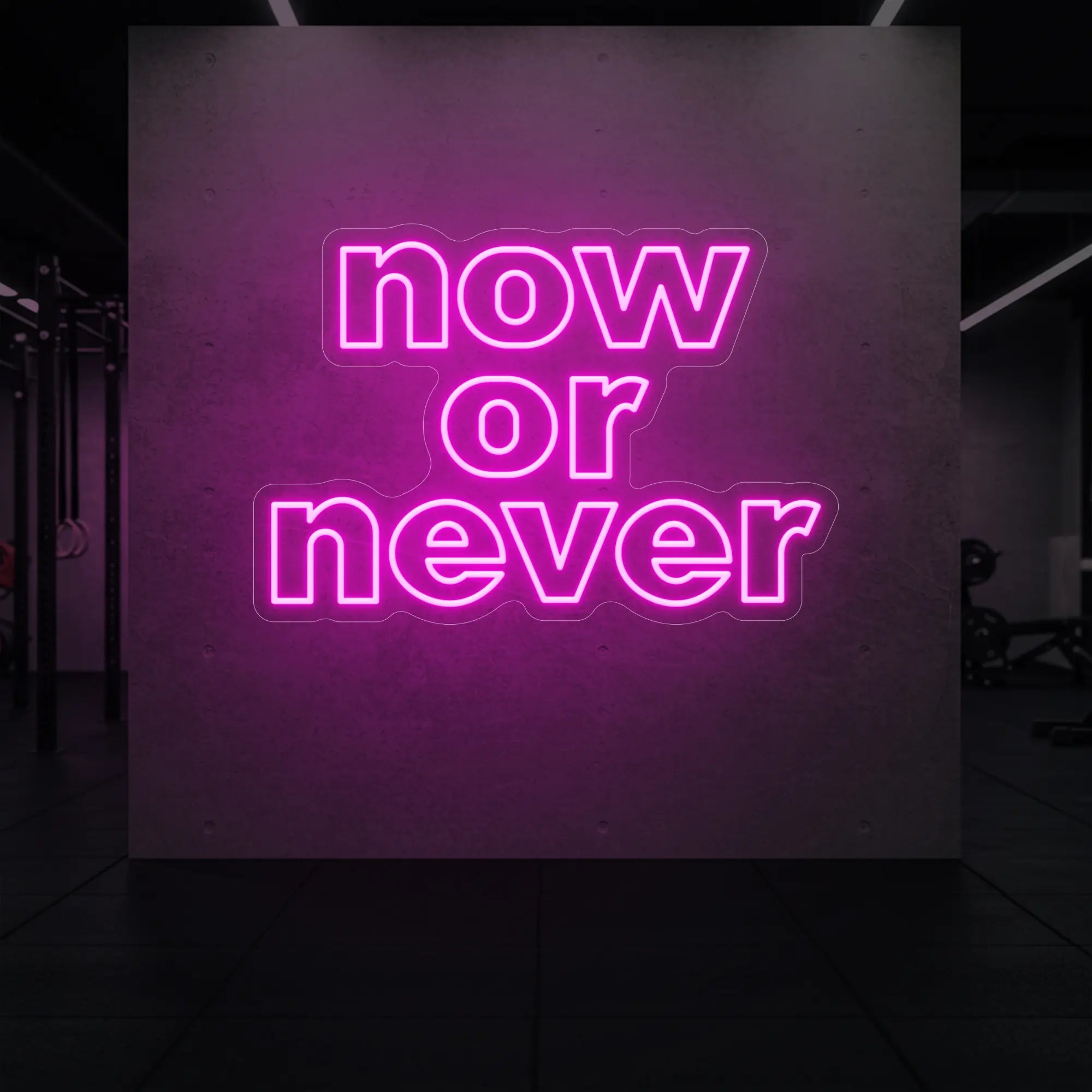 'Now or Never' neon sign glowing in light pink against a styled interior wall.