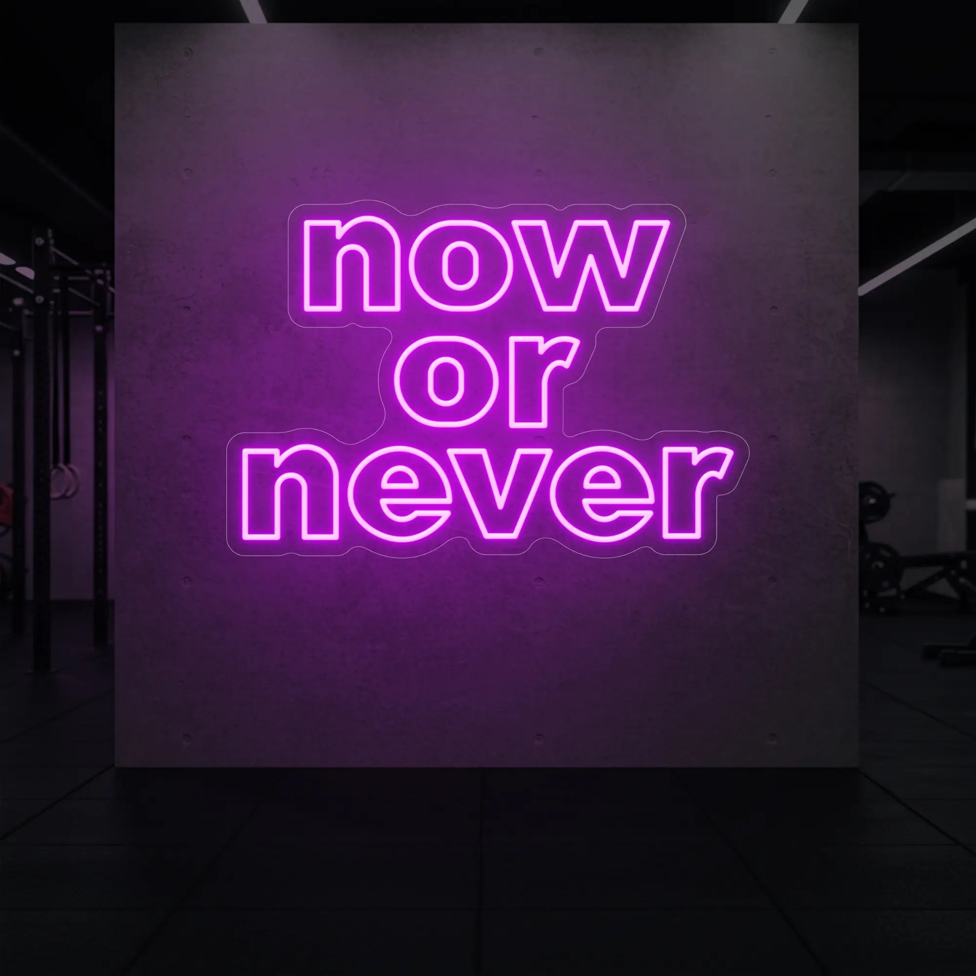 'Now or Never' neon sign glowing in deep pink against a styled interior wall.