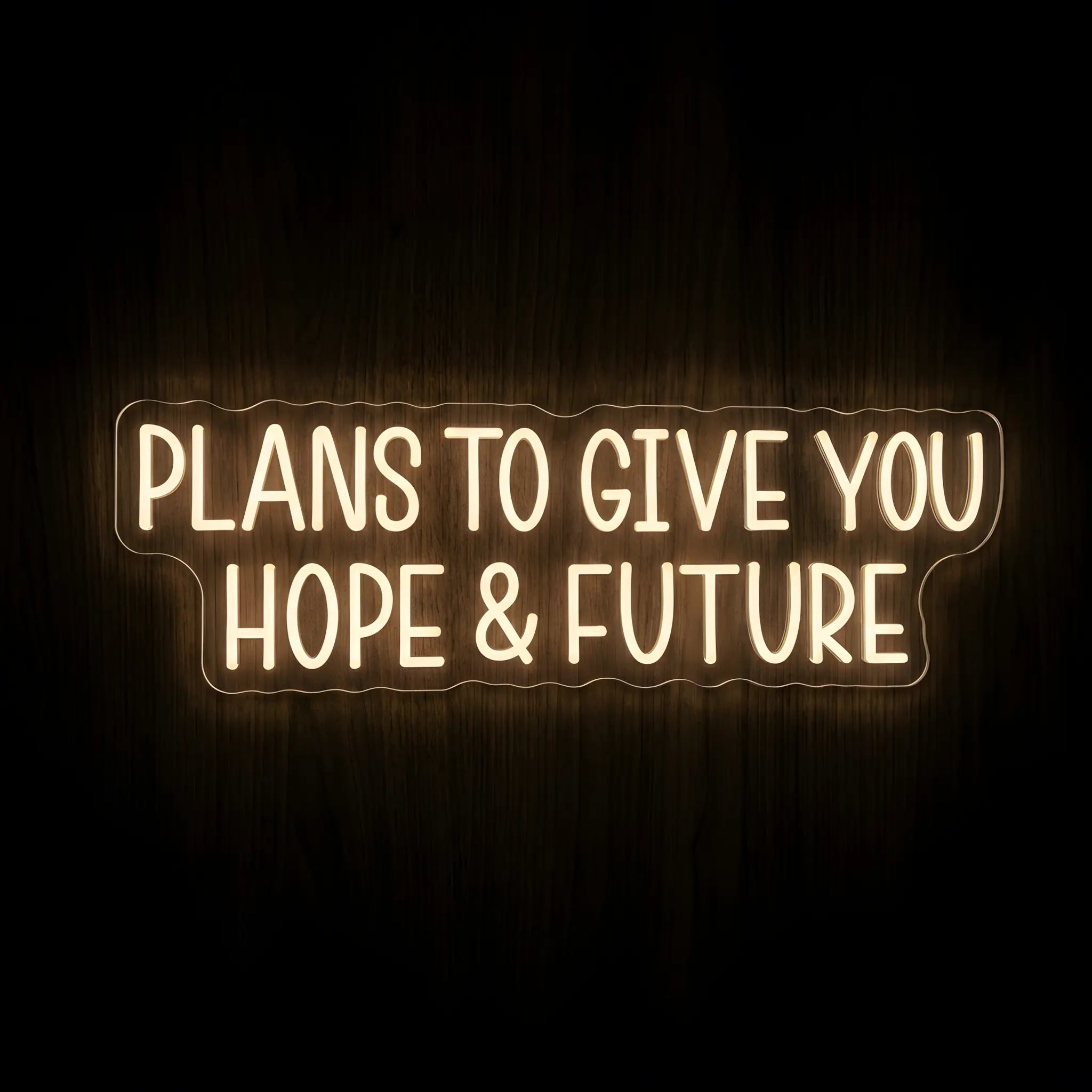 Plans to Give You Hope and Future LED neon sign with warm white illumination on precision-cut acrylic backing, Christian wall decor inspired by Jeremiah 29:11.