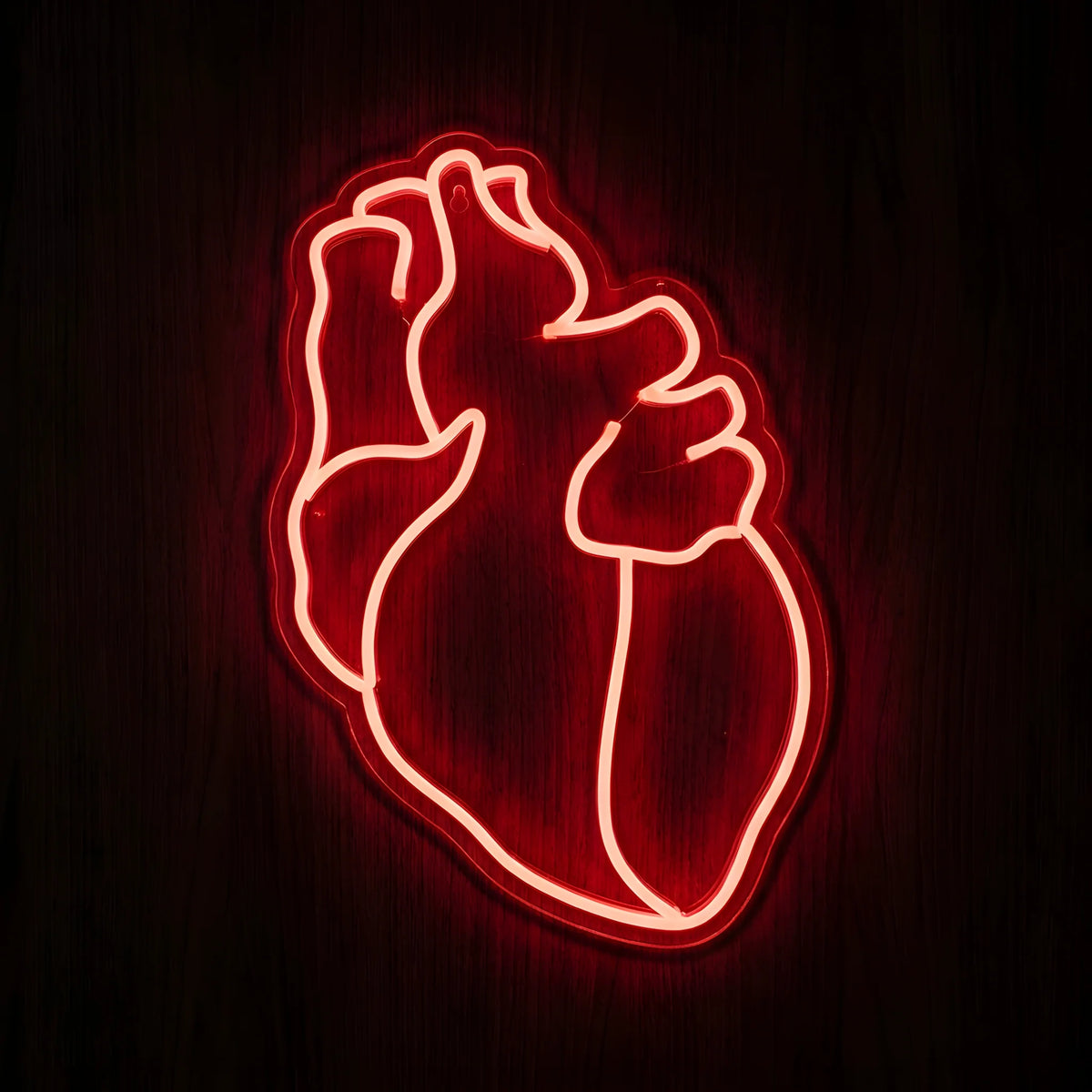 Red Anatomical Heart LED Neon Sign featuring a glowing red outline of a human anatomical heart with detailed arteries and chambers, mounted on clear cut-to-shape acrylic against a dark wooden wall.