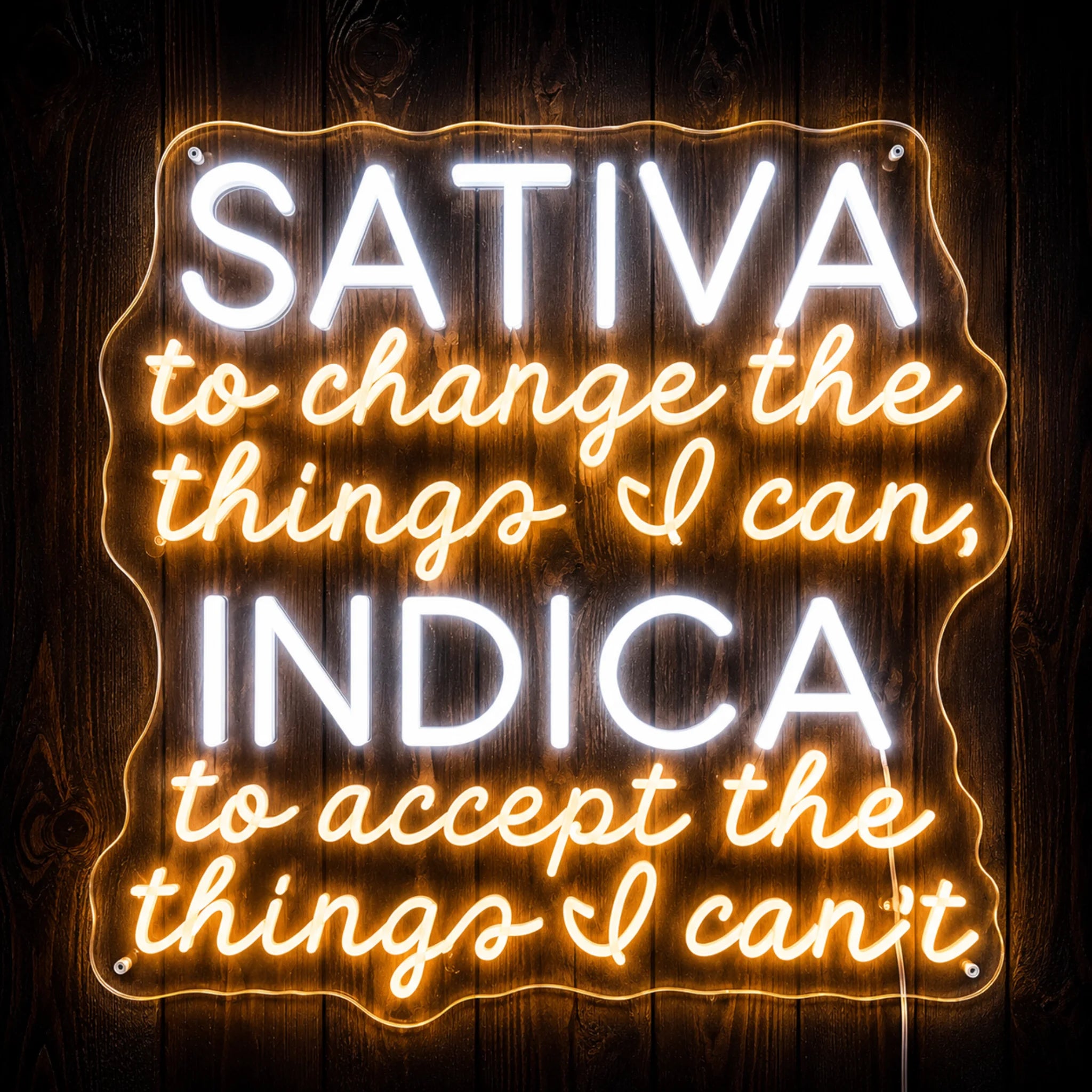 Sativa Indica quote LED neon sign on clear acrylic backing with white and warm white illumination for cannabis-themed wall dΓ©cor.