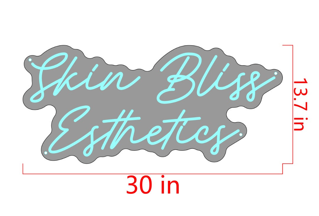 Skin Bliss Esthetics Custom Neon Sign