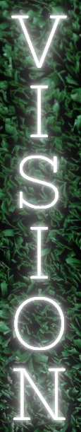 VISION Custom Neon Sign