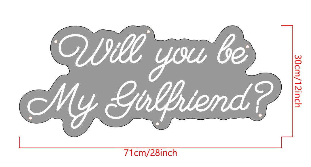 Will you be My Girlfriend Custom Neon Sign