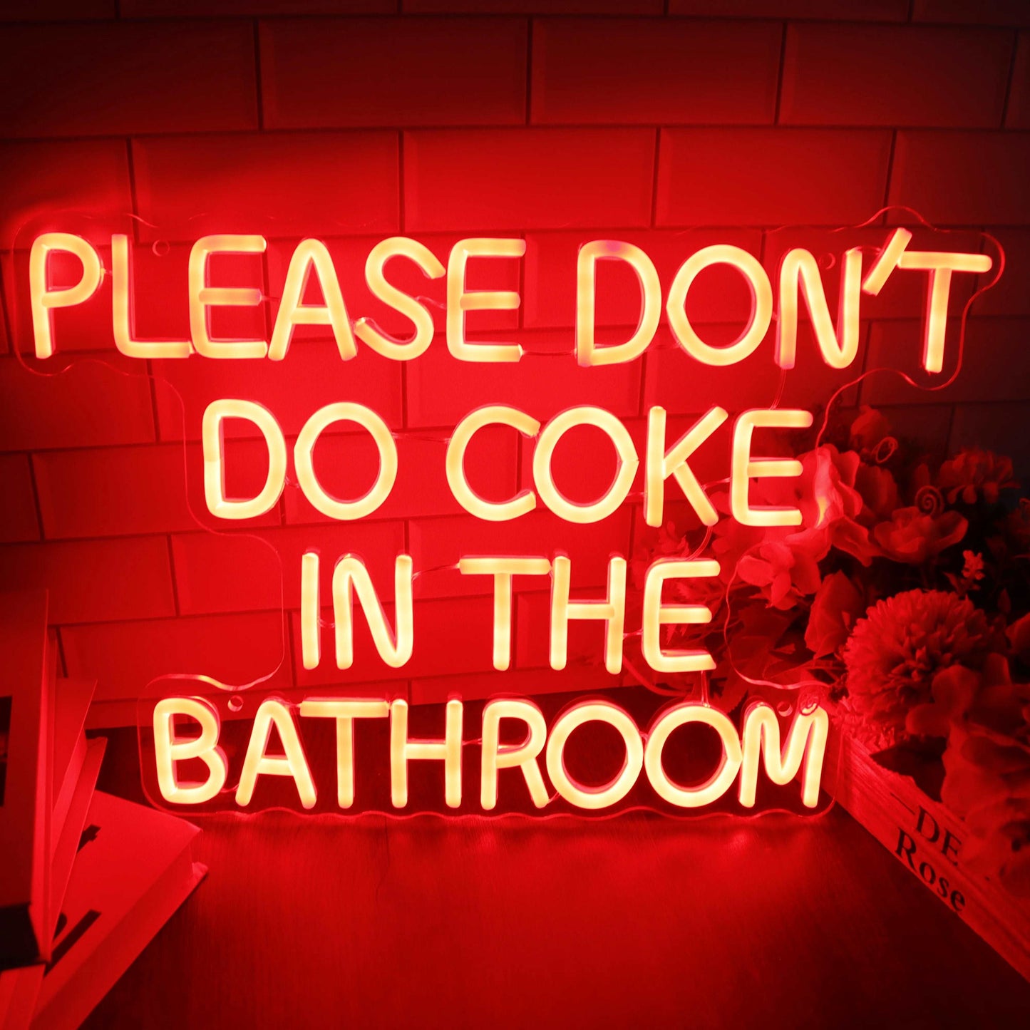 "PLEASE DON'T DO COKE IN THE BATHROOM" NEON SIGN