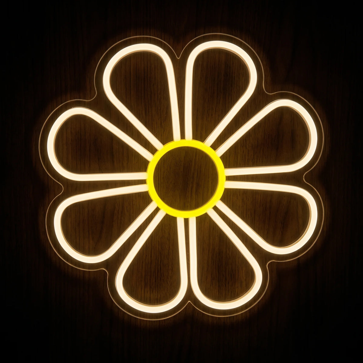 Daisy flower LED neon sign with warm white petals and bright yellow center on clear acrylic backing.