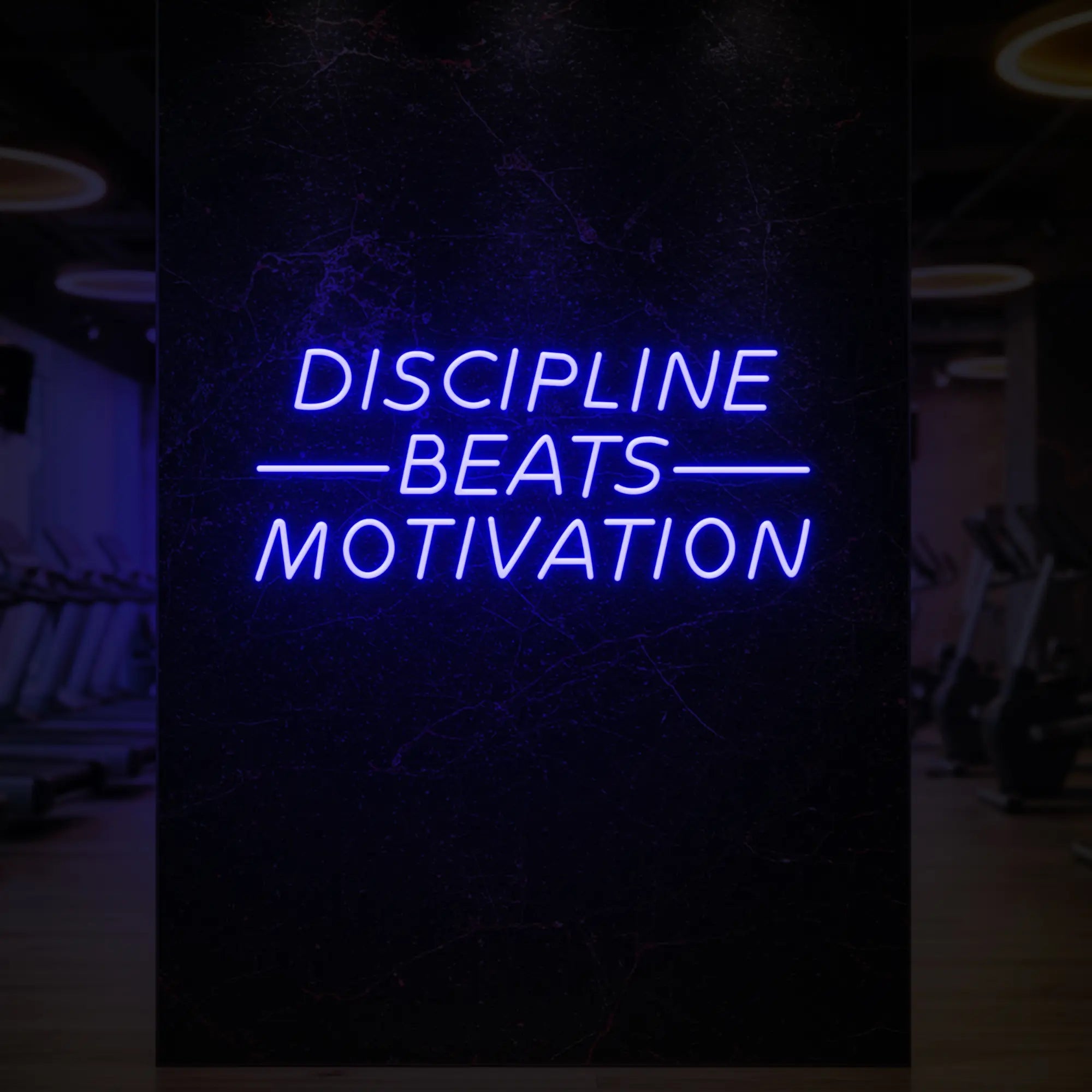  'Discipline Beats Motivation' neon sign glowing in deep blue against a styled interior wall.