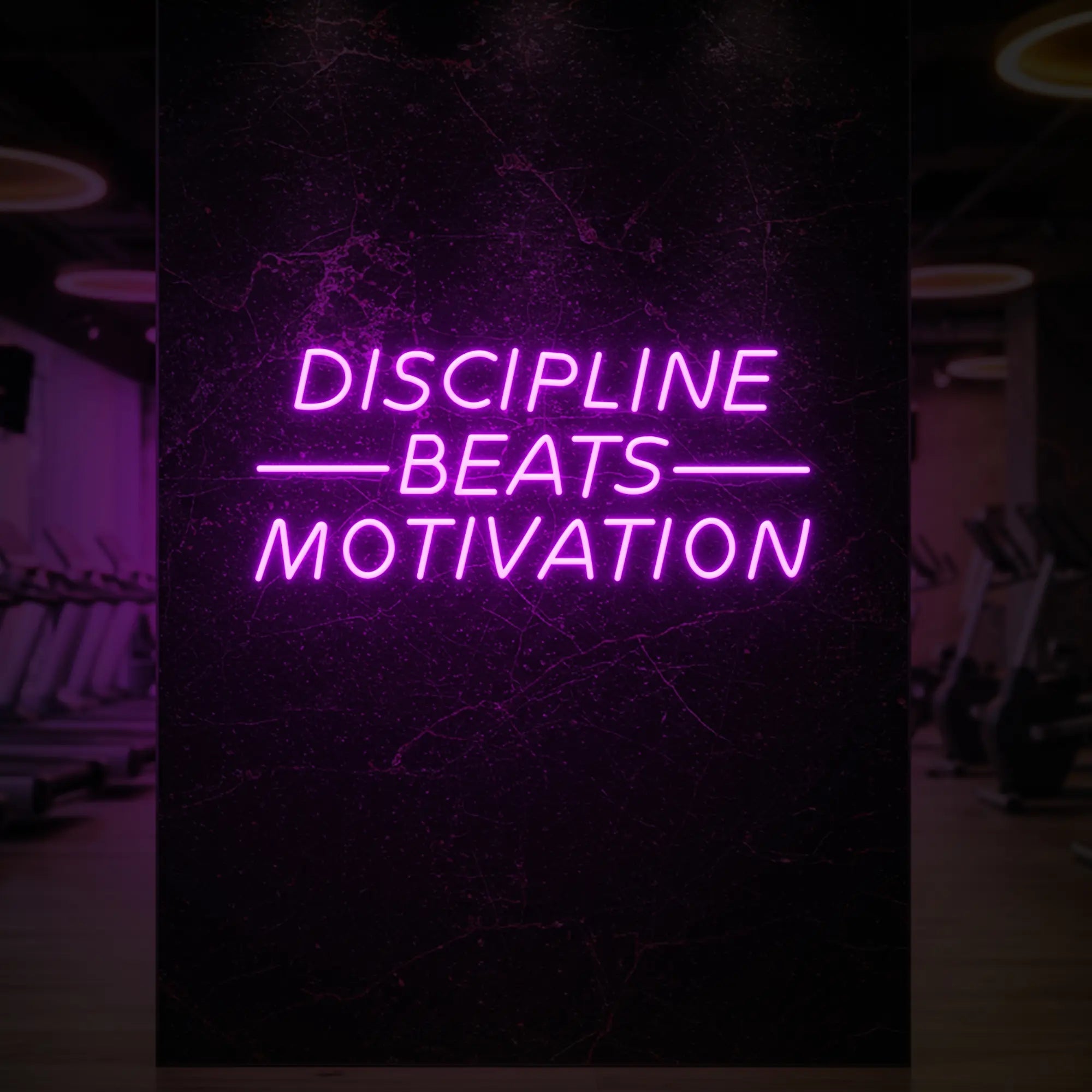 'Discipline Beats Motivation' neon sign glowing in deep pink against a styled interior wall.