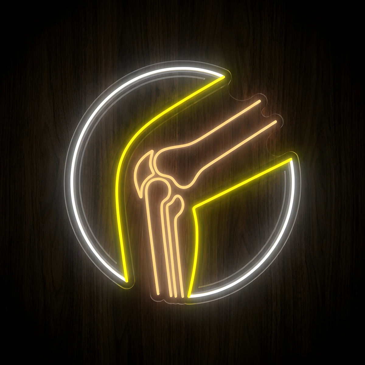 Knee Joint Therapy LED neon sign featuring a bent knee joint illustration in warm peach and yellow with a cool white circular outline on clear acrylic backing for physical therapy and orthopedic clinic wall decor.