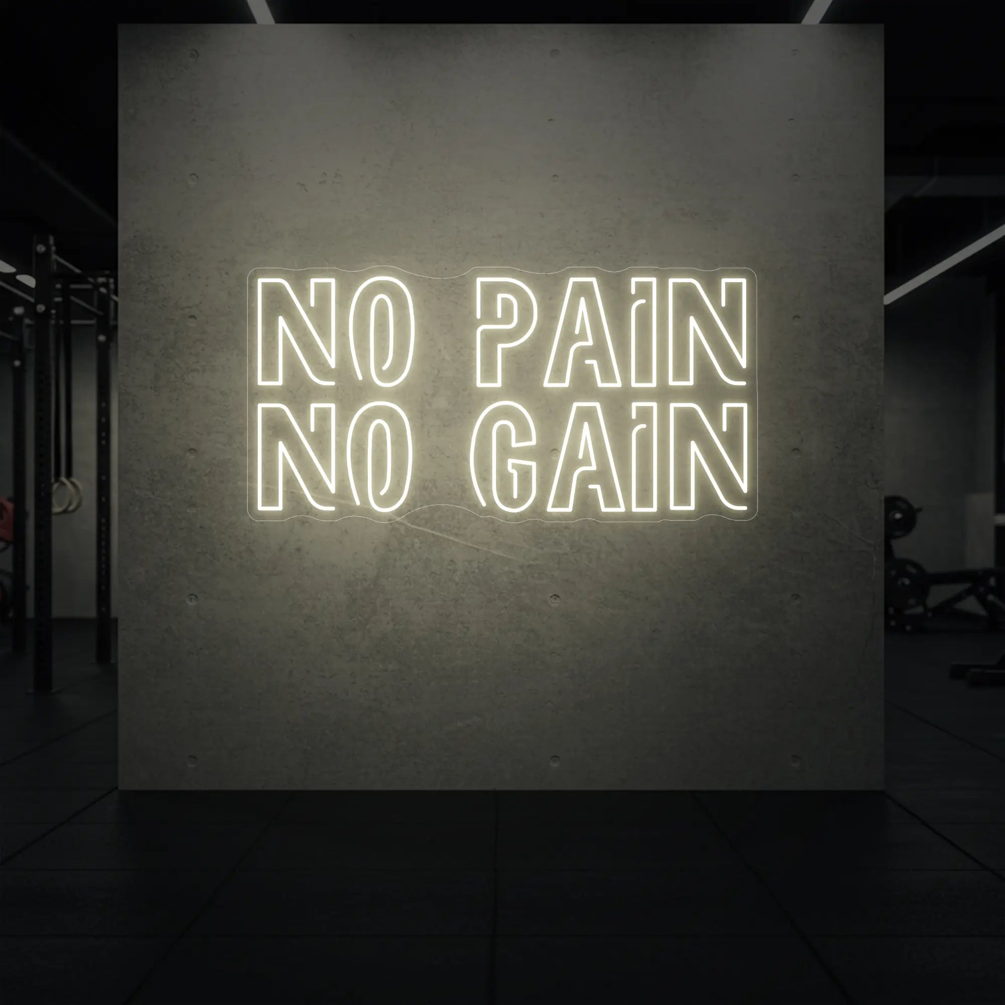  'NO PAIN NO GAIN' neon sign glowing in warm white against a styled interior wall.