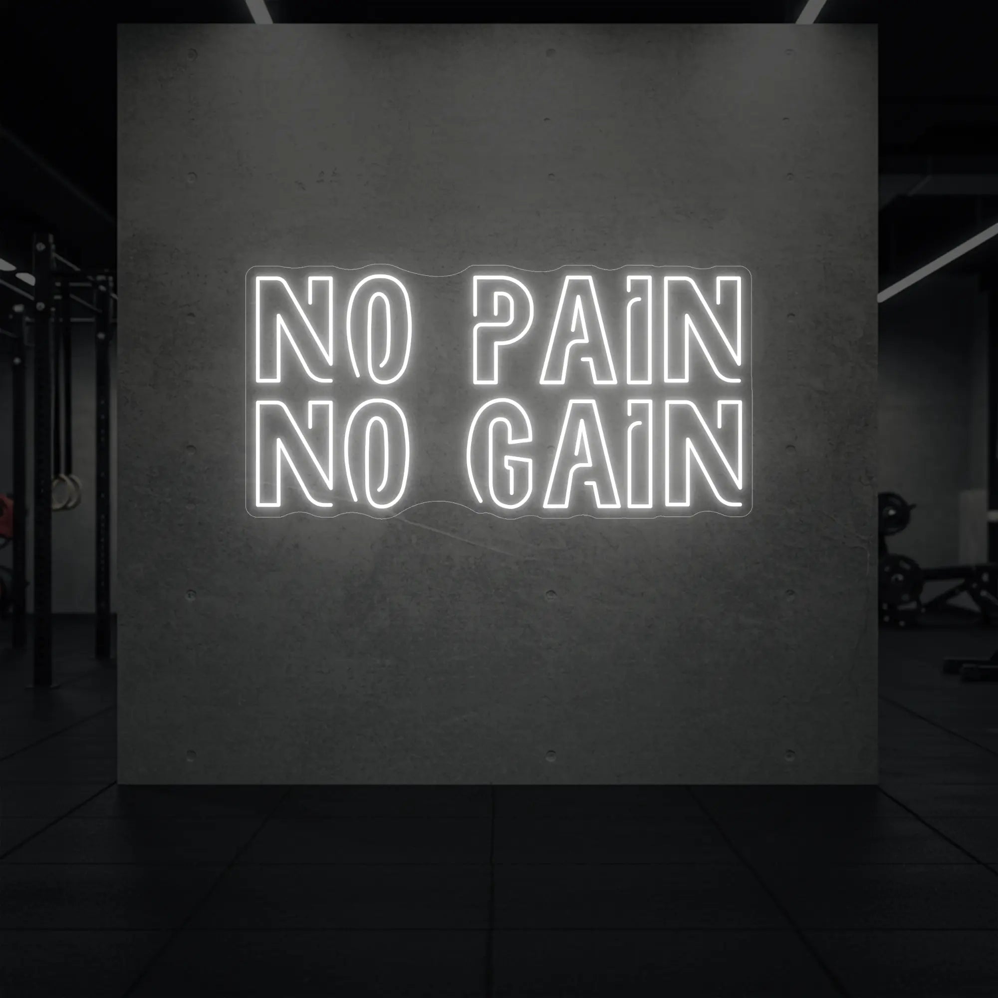  'NO PAIN NO GAIN' neon sign glowing in cool white against a styled interior wall.