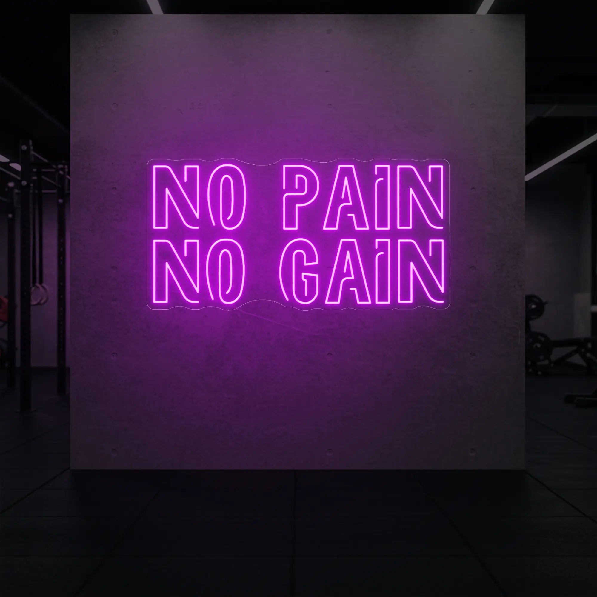  'NO PAIN NO GAIN' neon sign glowing in deep pink against a styled interior wall.