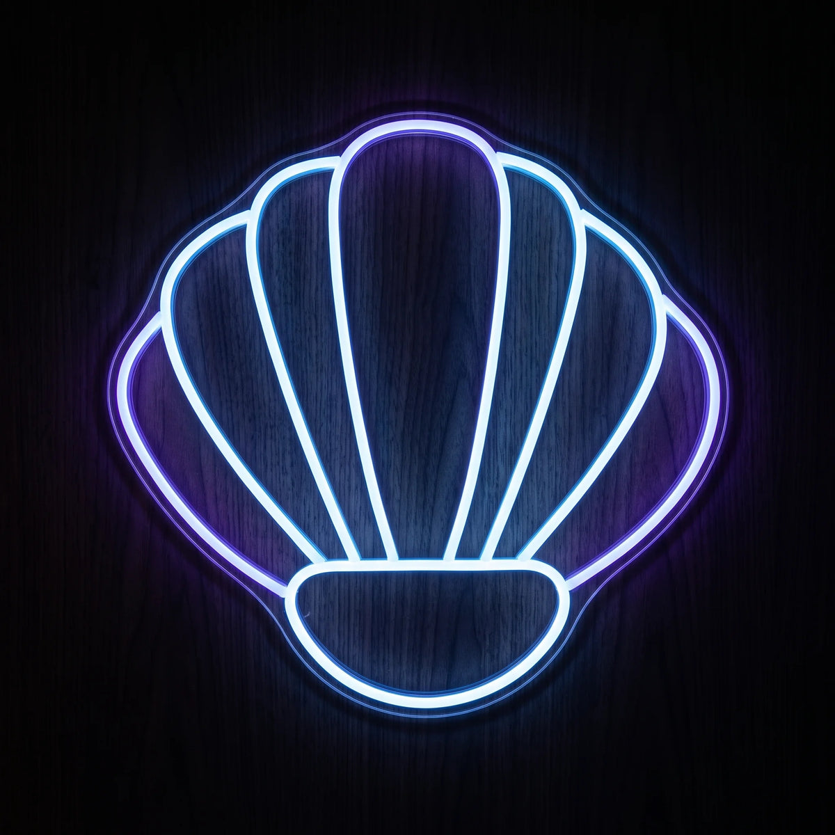 Seashell LED neon sign featuring a fan-shaped shell outline glowing in cool white on clear acrylic backing.